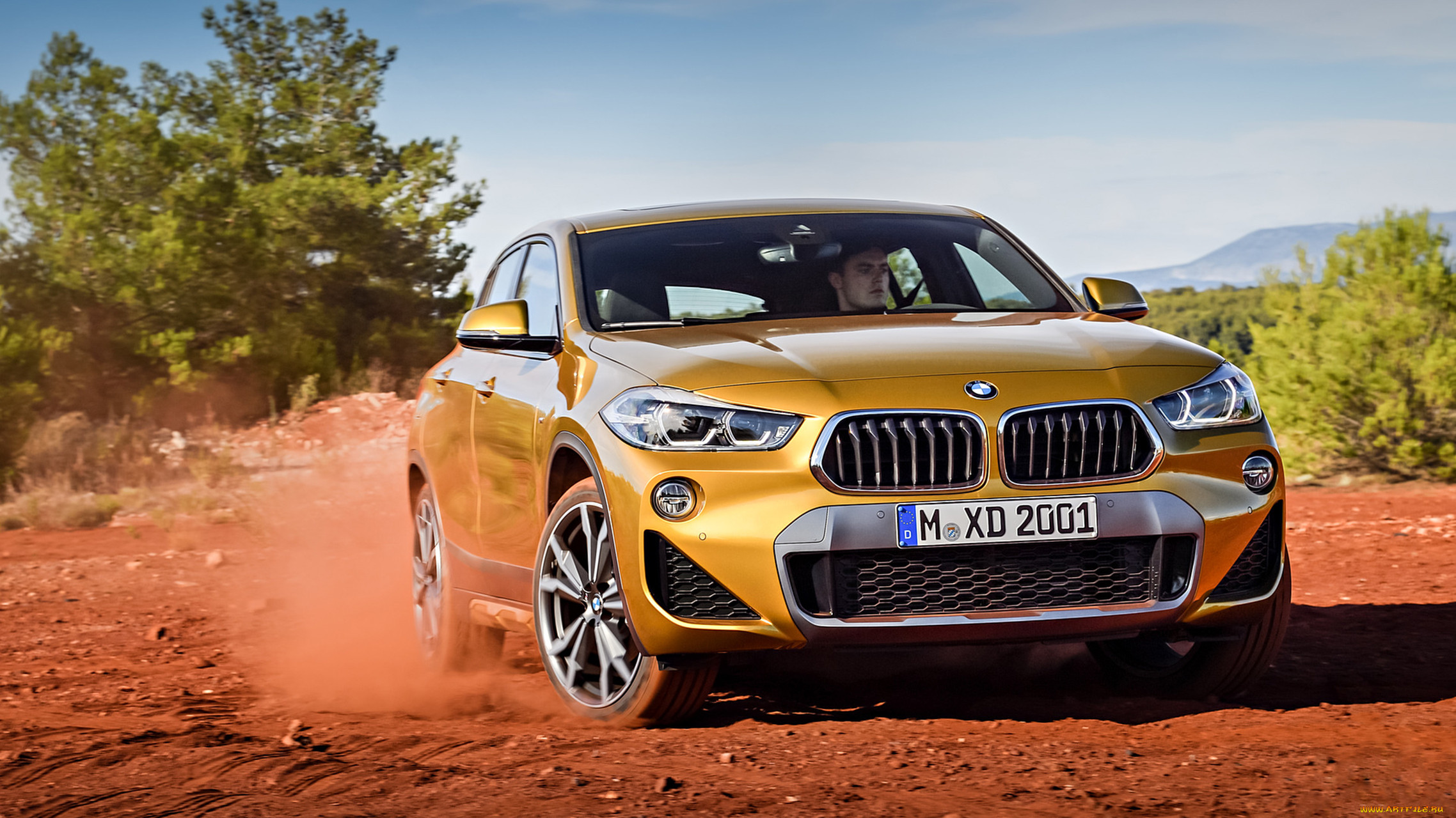 bmw x2 xdrive20d m sport x 2018, , bmw, x2, xdrive20d, m, sport, x, 2018